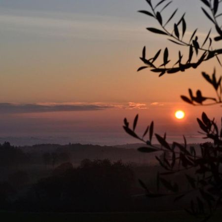 Podere Ficareto Farm Ancaiano Экстерьер фото