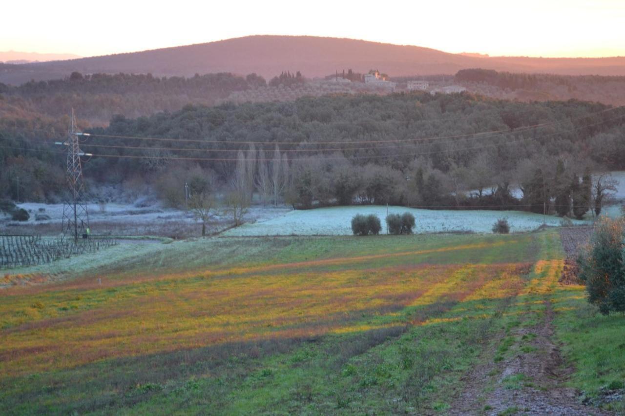 Podere Ficareto Farm Ancaiano Экстерьер фото