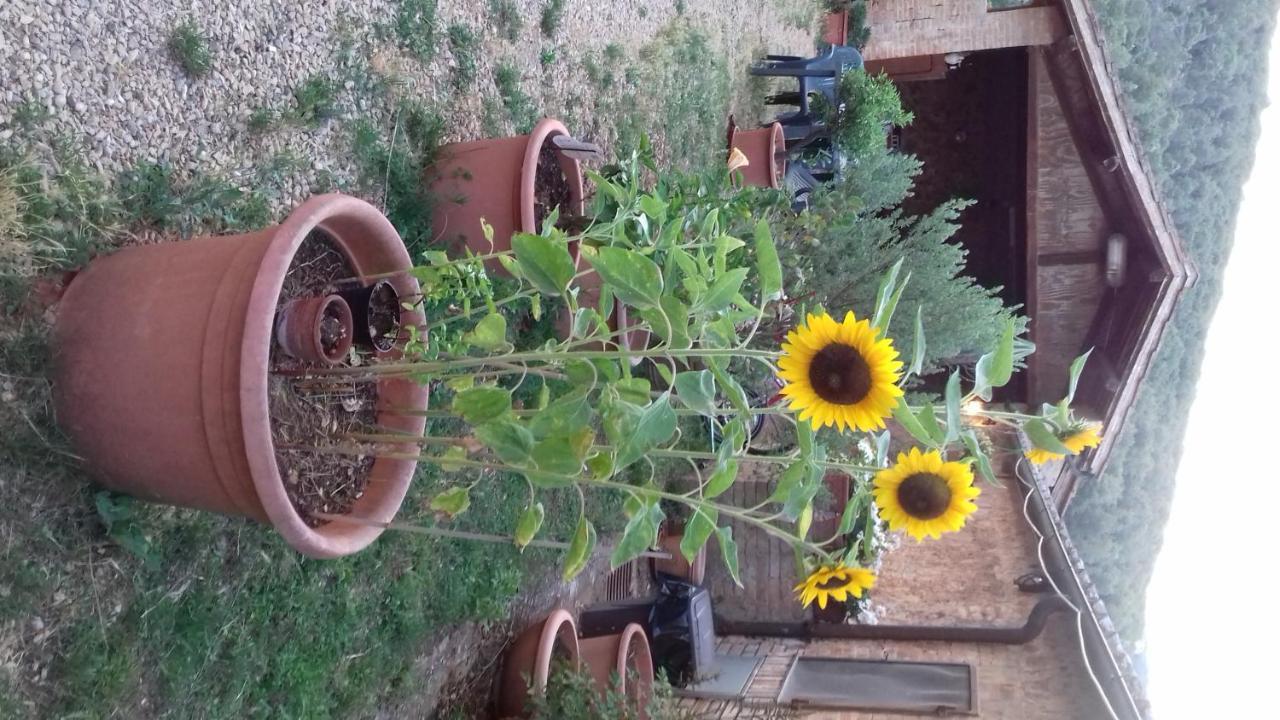 Podere Ficareto Farm Ancaiano Экстерьер фото